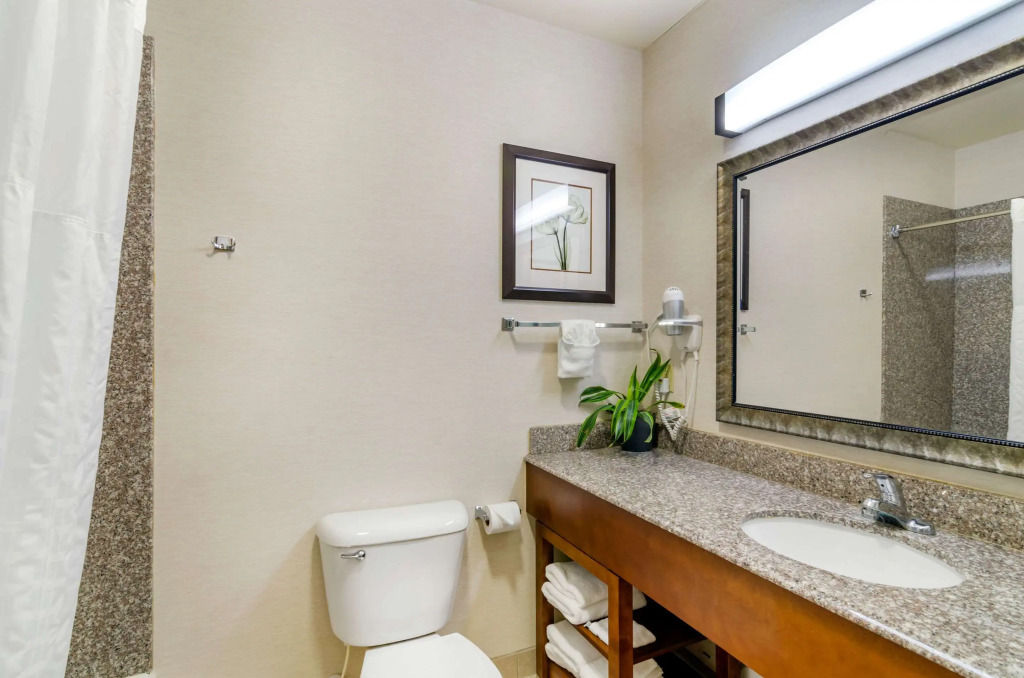 Comfort Inn & Suites near Bethel College