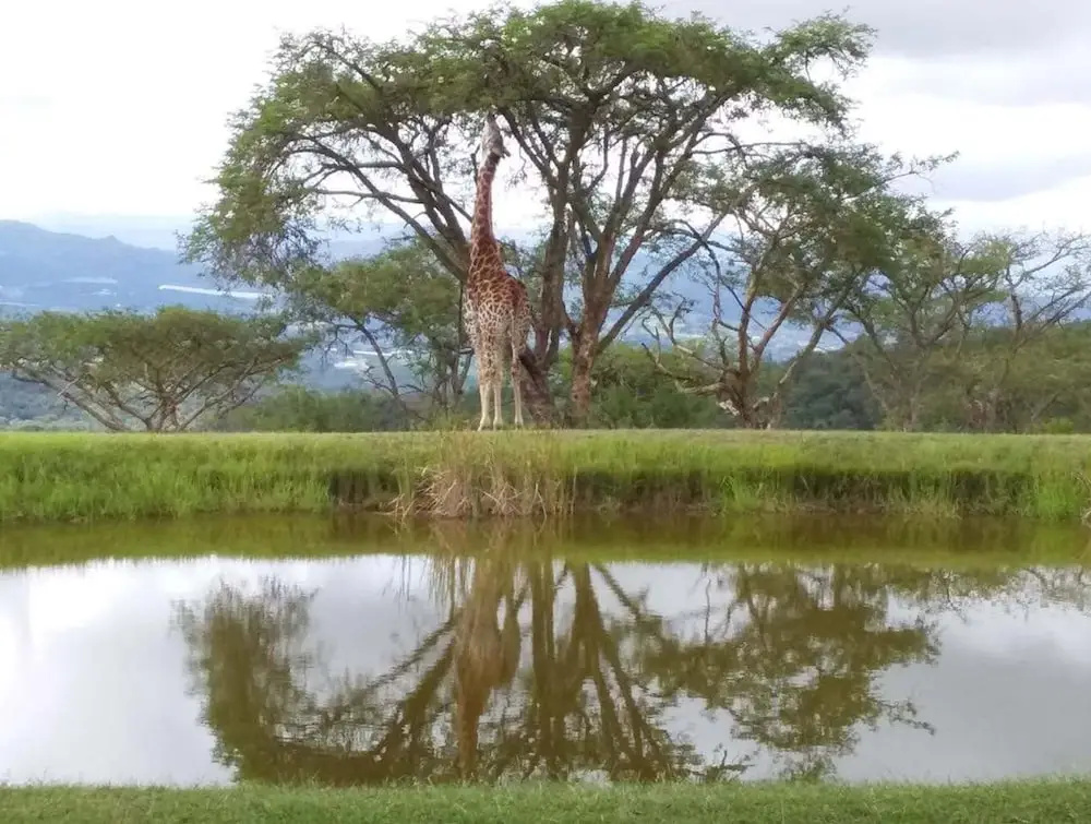 Muluwa Lodge