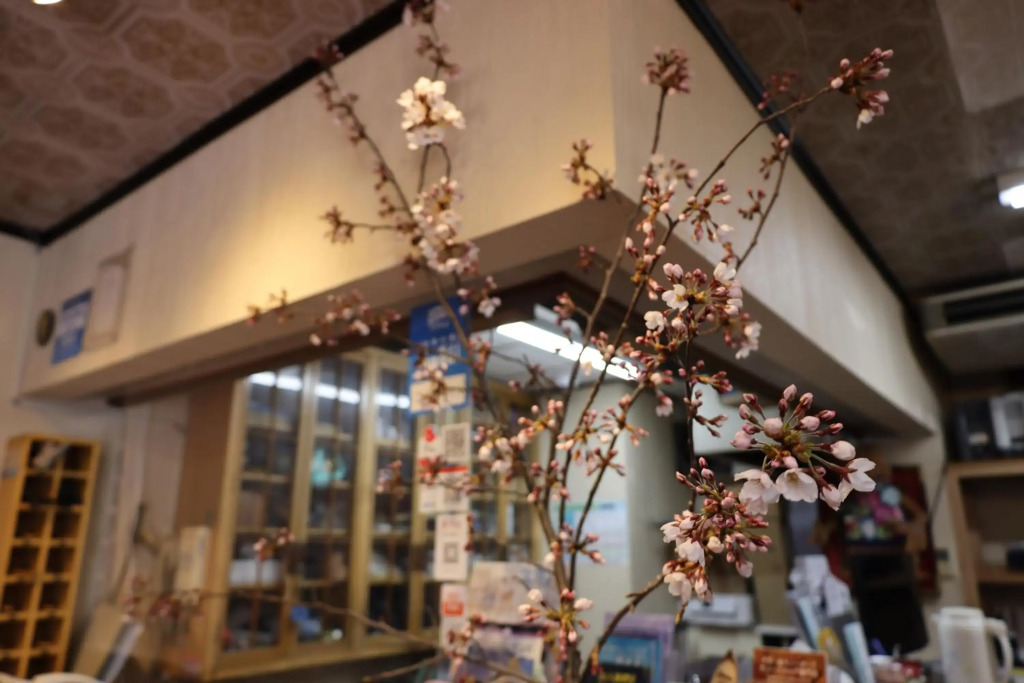 Yuzawa Ski House