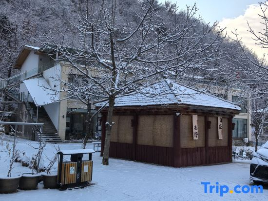 Walnut Tree Soup Spring Homestay