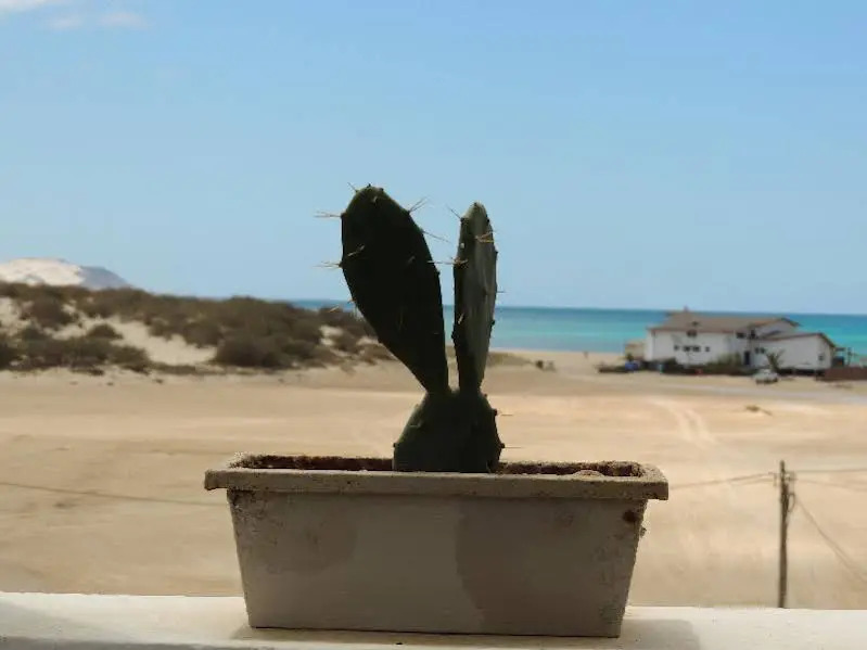 Casa Velha Resort