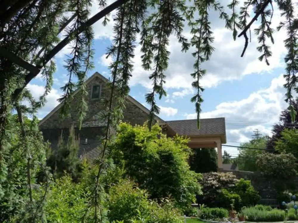 Alpenhof Bed & Breakfast