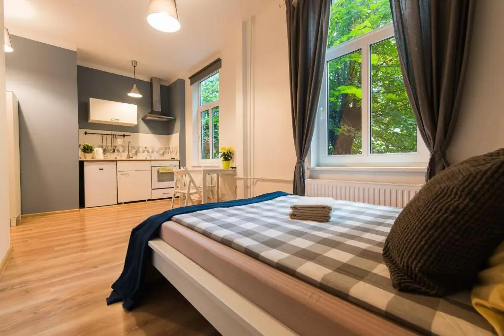 Light Studio Apartment
