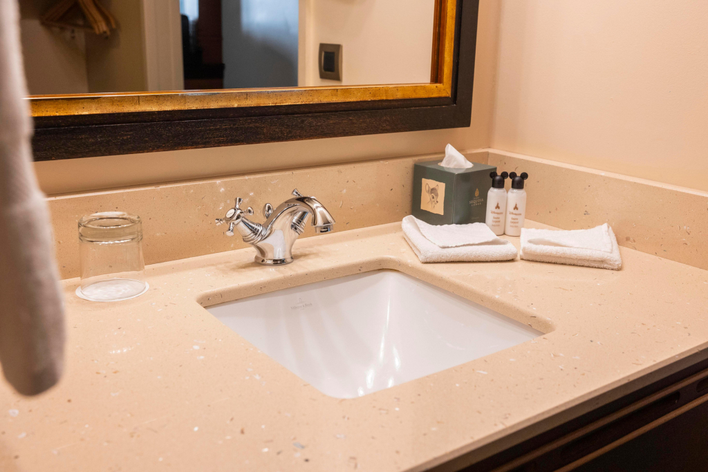 Disney Sequoia Lodge