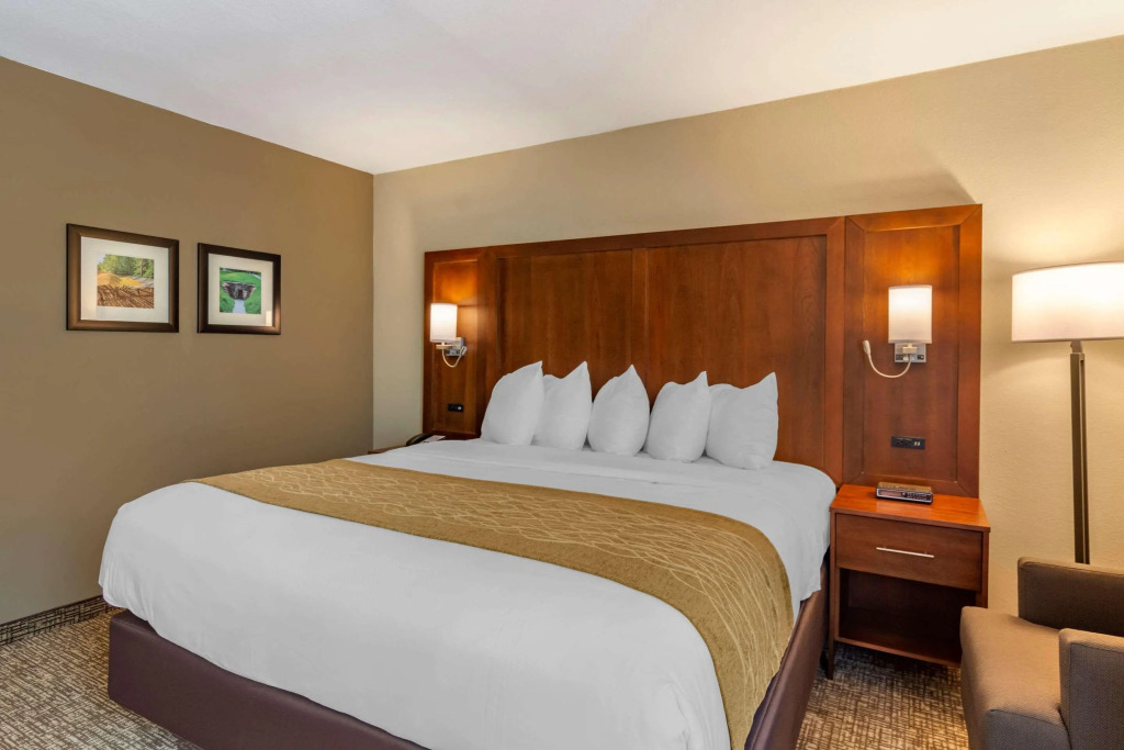 Comfort Inn Petersburg Fort Lee Area