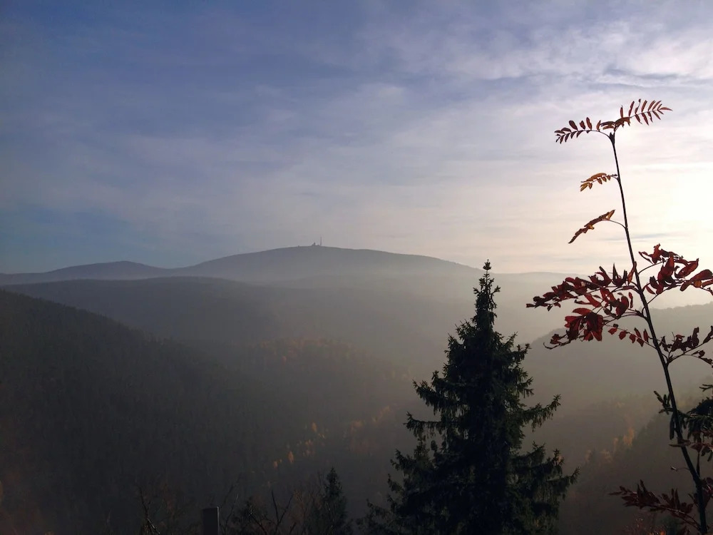Ferienhaus Sequoia