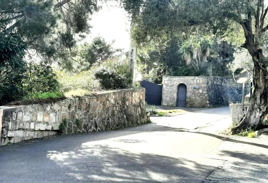 Studio Cappella