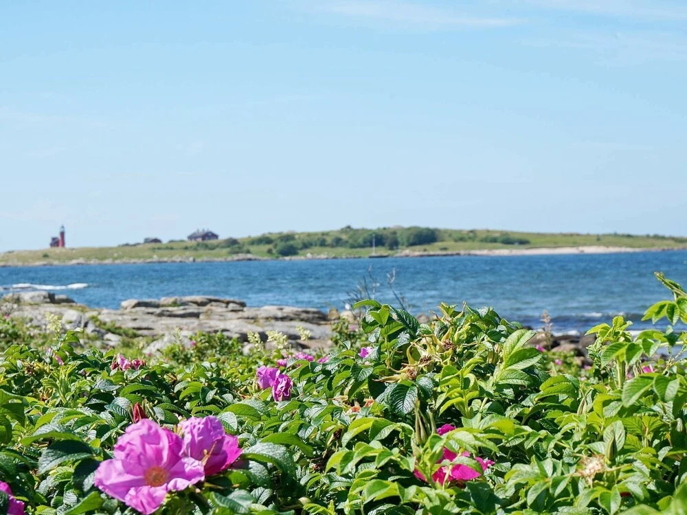 6 Person Holiday Home in Halmstad