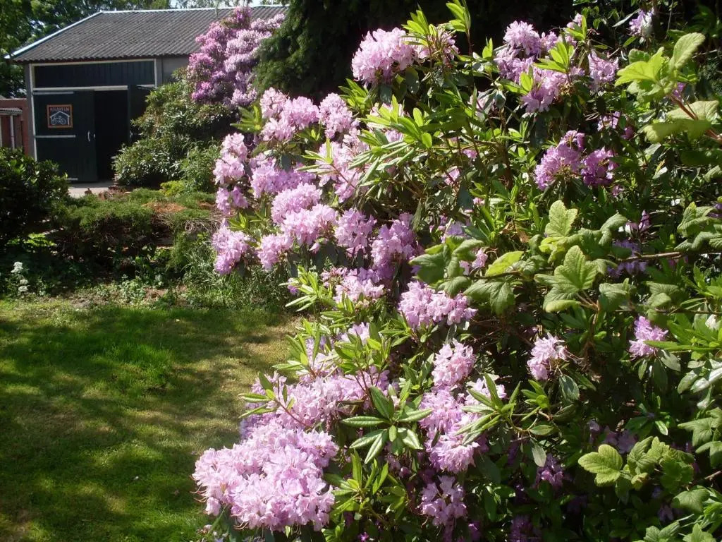 Buitengoed Het Achterdiep