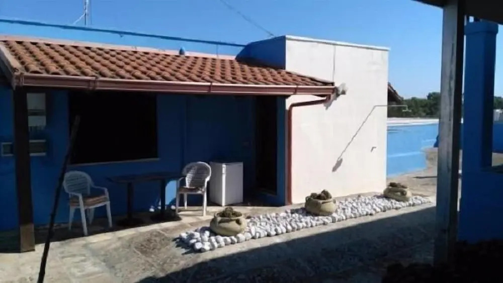 Geckos House