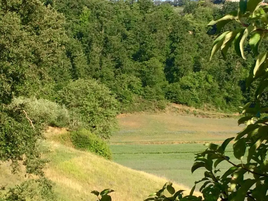 Agriturismo San Gregorio