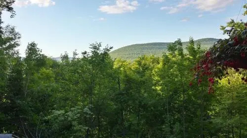 Two Bedroom Apartment at Hunter Mountain