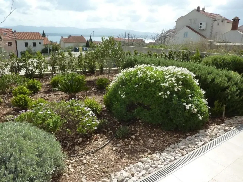 Ivy - Modern With Terrace - A2 Mak