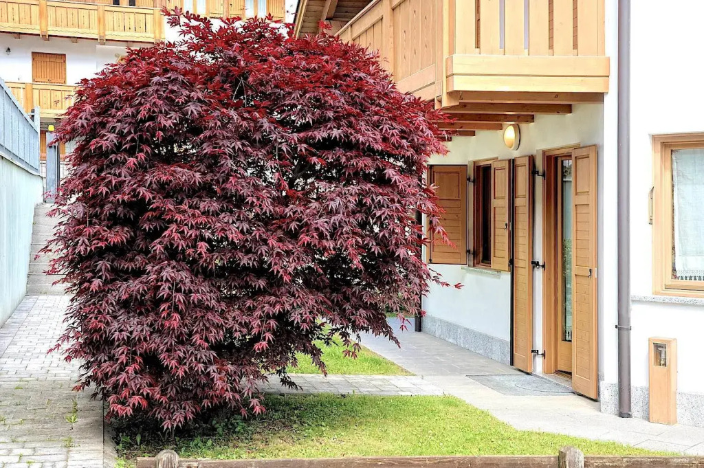 Luxury Apt Dolomites 2