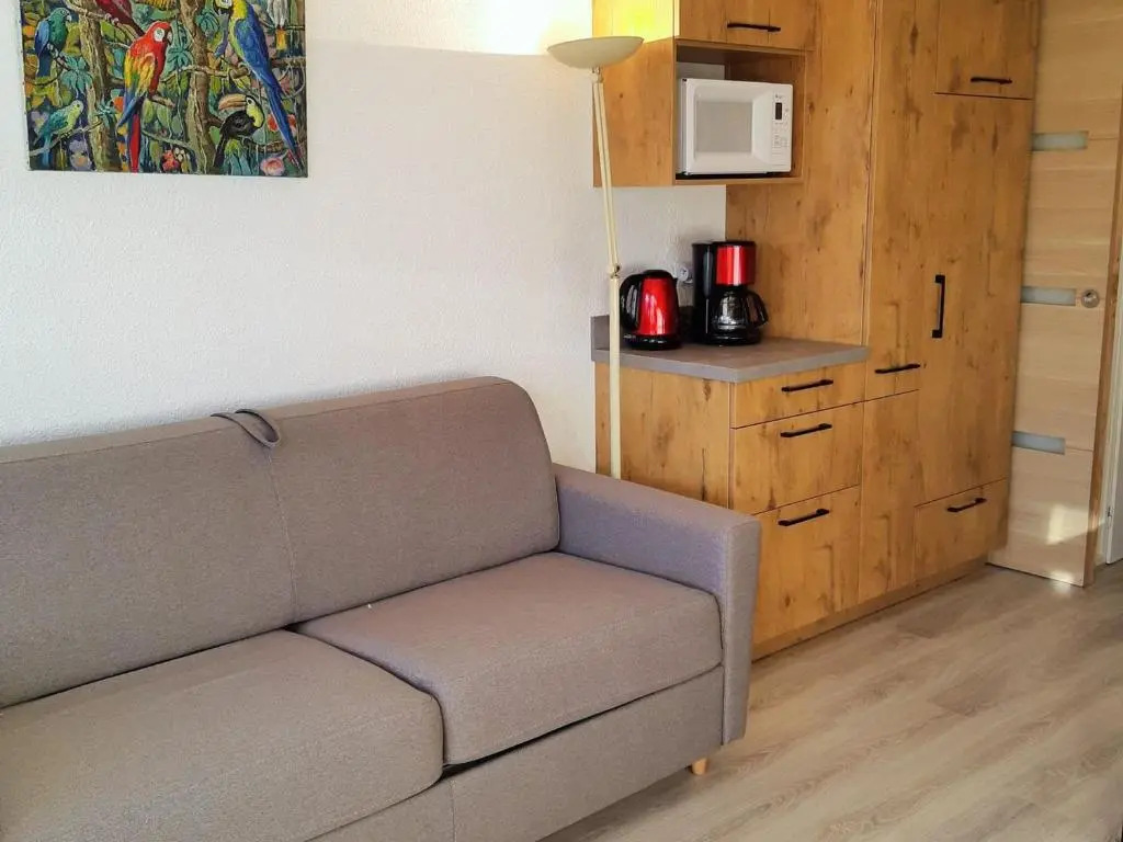 Appartement Les Deux Alpes, 1 pièce, 4 personnes - FR-1-516-30