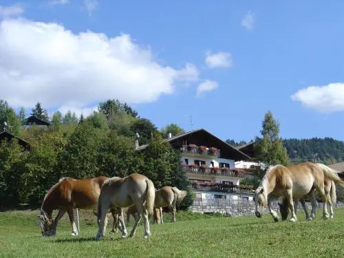 Haus Hafner