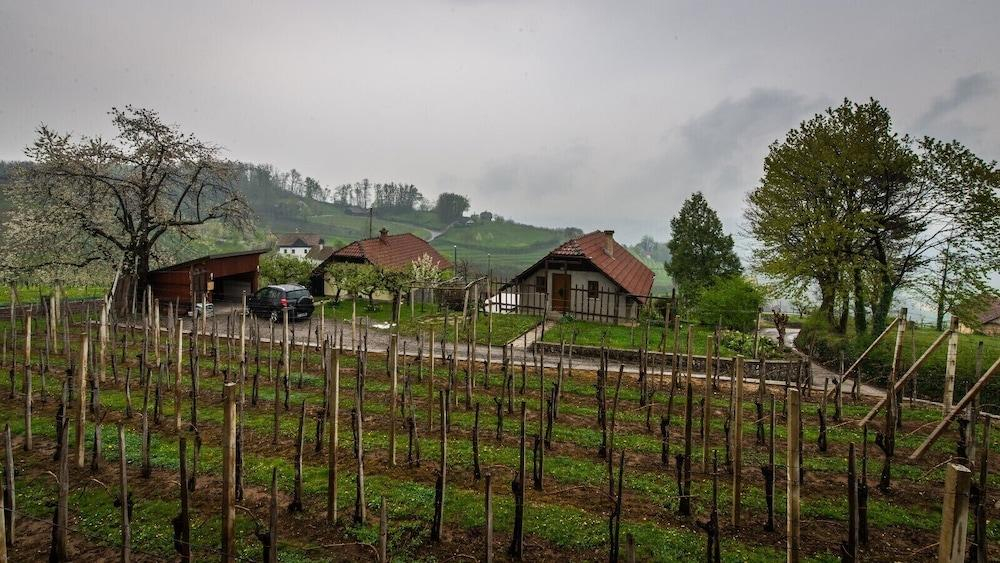 Vineyard Cottage Hocevar