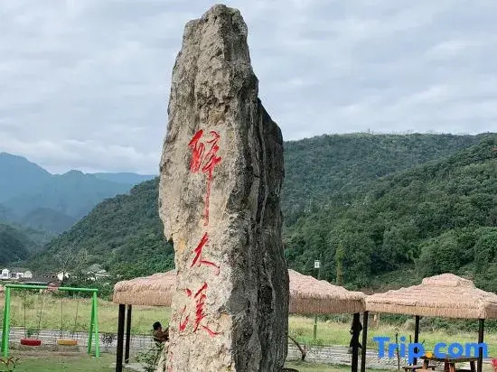Mount Emei Zuimuki Boutique B&B (Mount Emei Scenic Area Store)