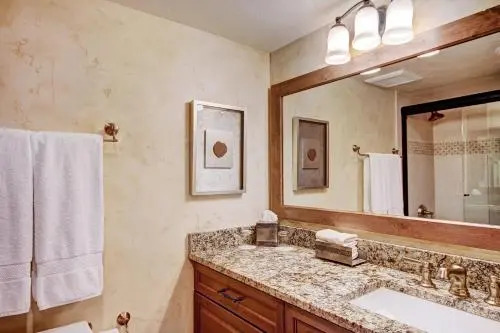 Lodge at Vail Dog Friendly C252