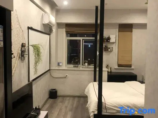 Qiyu Apartment (Changchun Silicon Valley Street Animation College Shop)