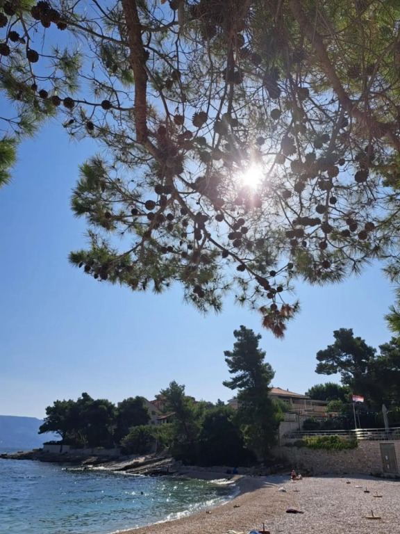 Jela - 50 m from pebble beach - A1(4+1)
