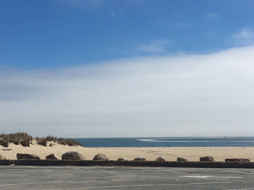 The Ocean View