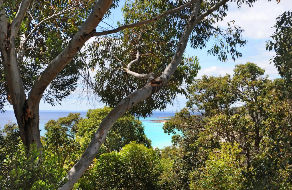 Kestral Ashore