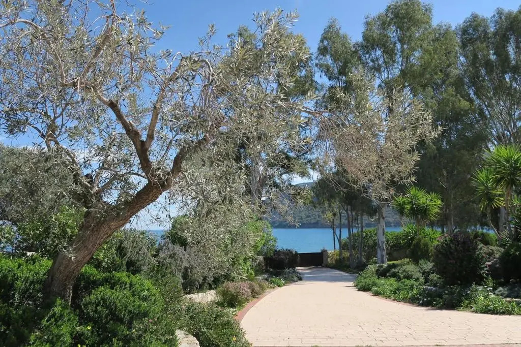Aeolos beachfront family residence