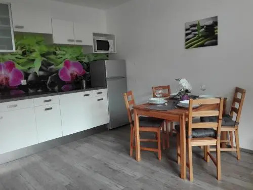 Apartments Grudnik with free parking
