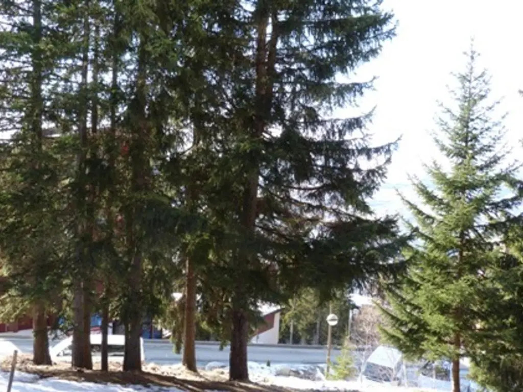 Appartement Les Arcs 1800, 1 pièce, 5 personnes - FR-1-411-209