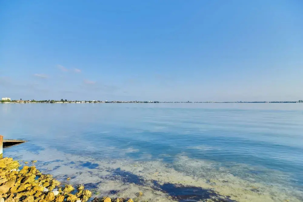 Isla Del Sol Condo ~ 2 Miles to St Pete Beach!