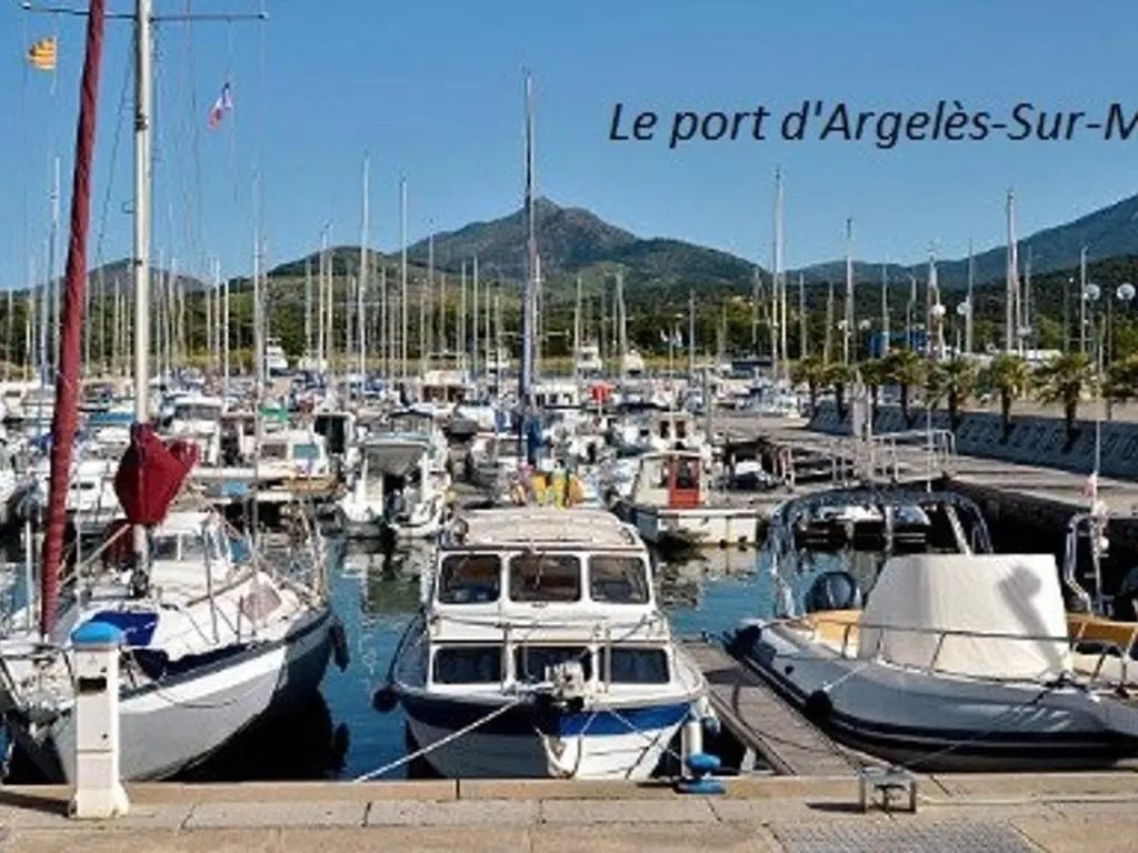 Appartement Argelès-sur-Mer, 2 pièces, 4 personnes - FR-1-225-59