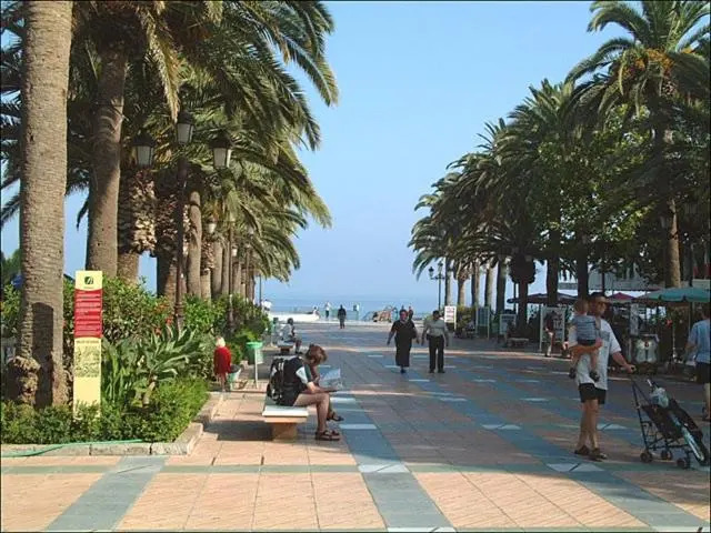 Nerja 1ª linea de Playa de Burriana , terraza grande al mar