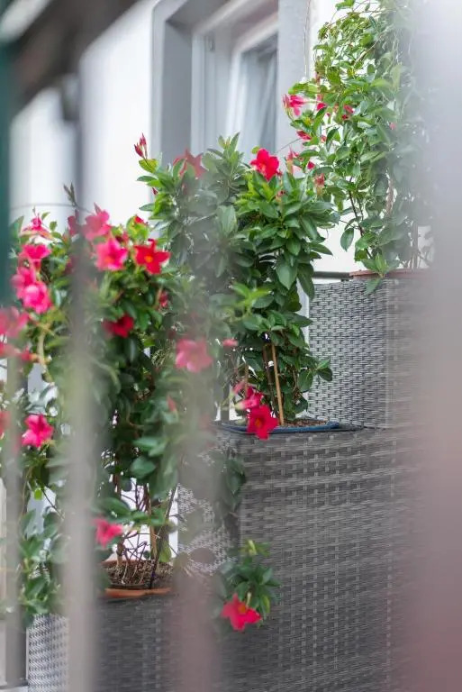 Orchideen Apartment