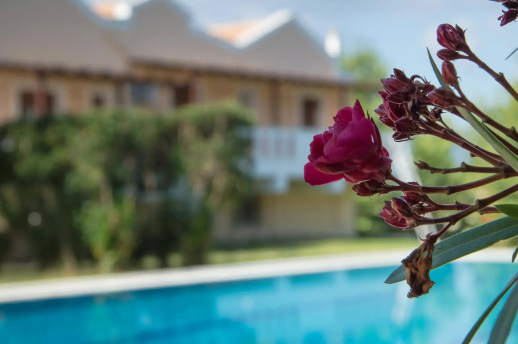 Leone Luxury Villas