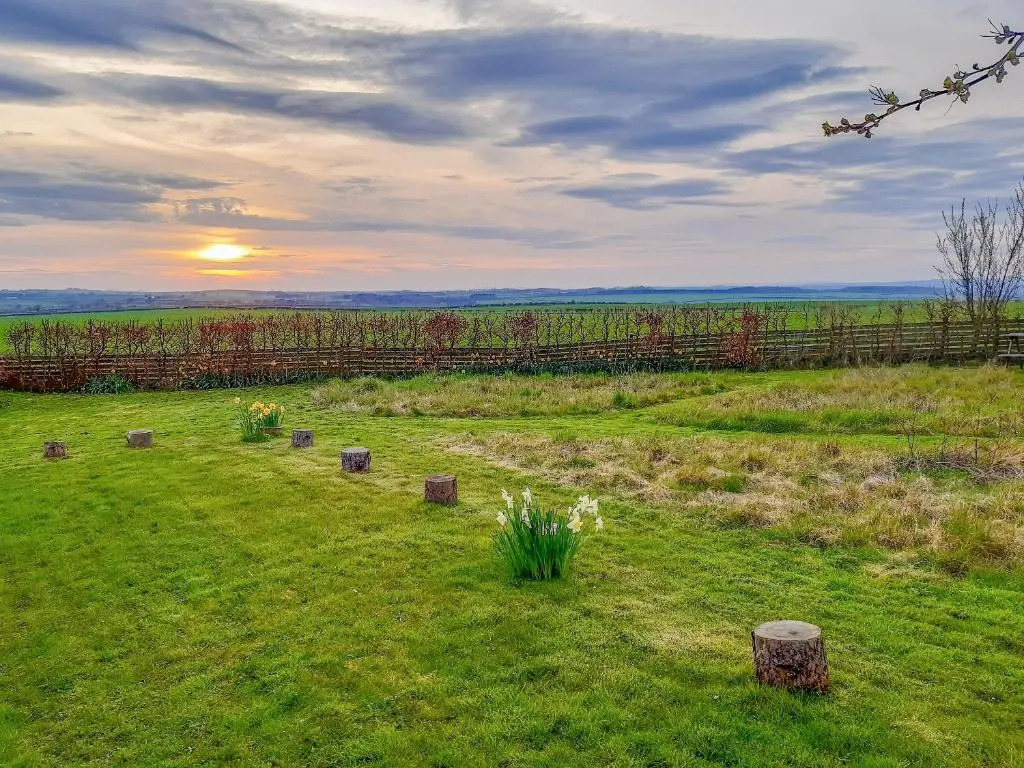 Cheviot View