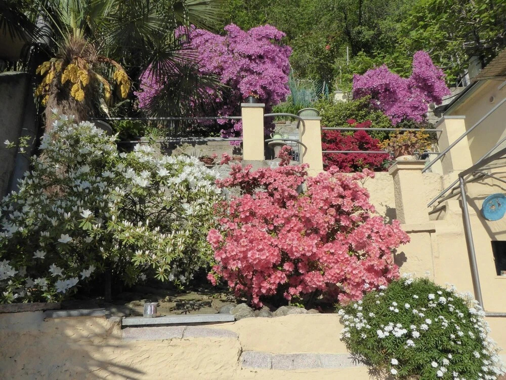 Bild Lago Maggiore Apartment With Lake View and Panoramic Terrace