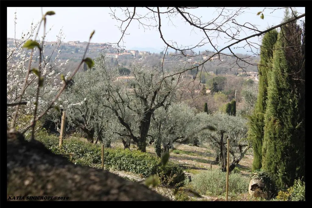 domaine des tilleuls dor