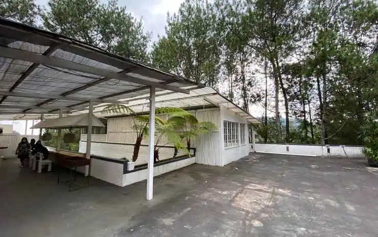 The Peak Home