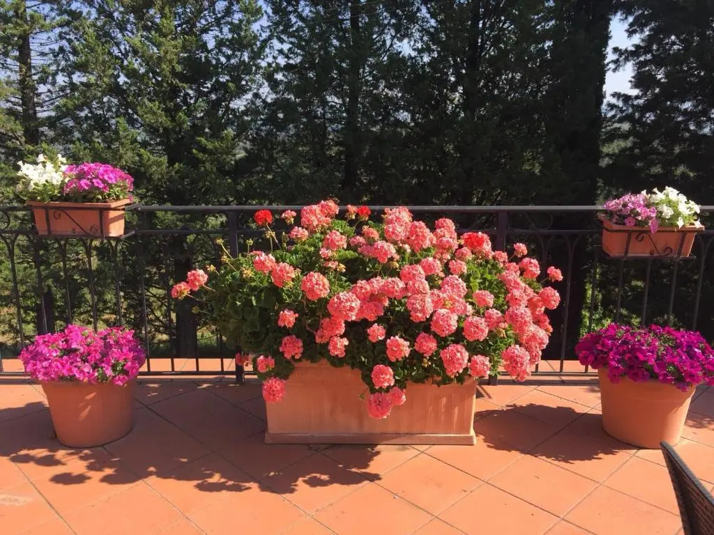 Casale Fusco