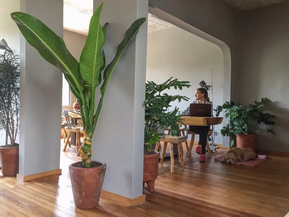 Chaya B & B Boutique