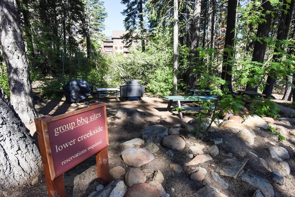 Northstar Village 215