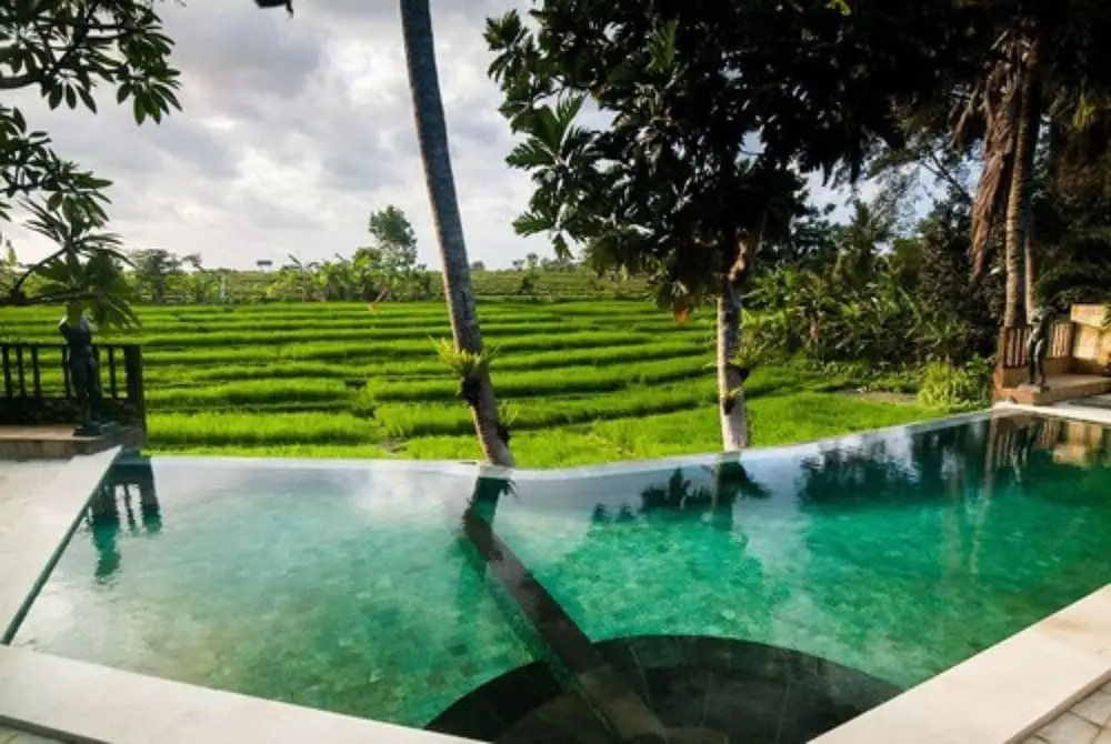 Lavillabali Rice Fields Terrace Canggu