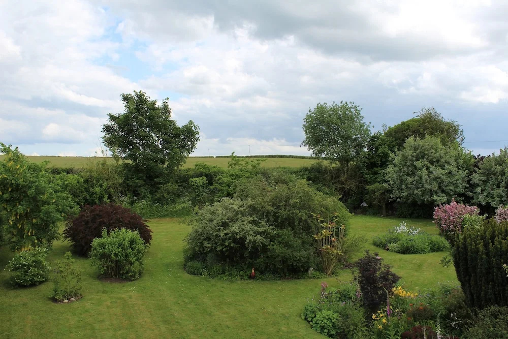 The Vine B & B
