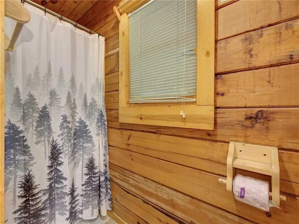 Owl Be Back, 2 Bedrooms, Pool, Hot Tub, Fireplace, Sleeps 6