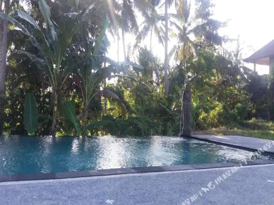Arjana Bungalows Rice Field