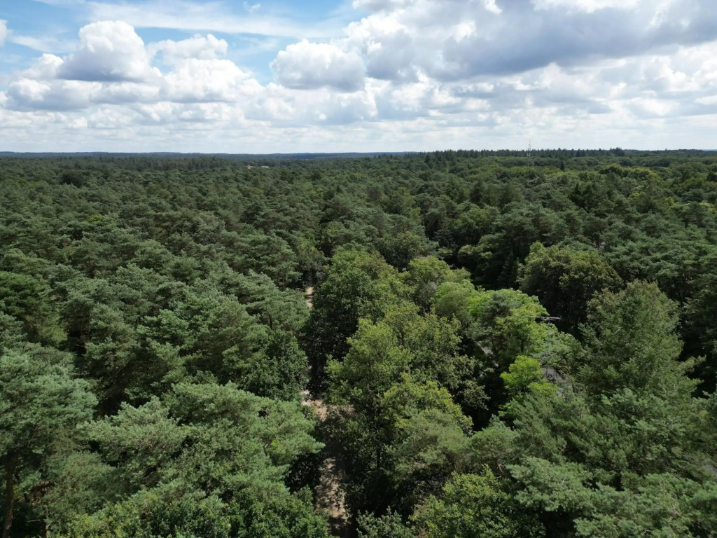 Modern natuurhuisje midden in het bos op de Veluwe