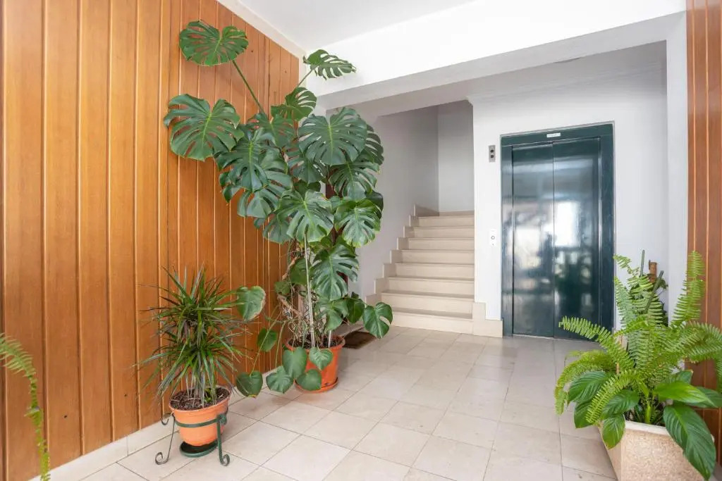 Terrace Bairro Novo by Rent4all