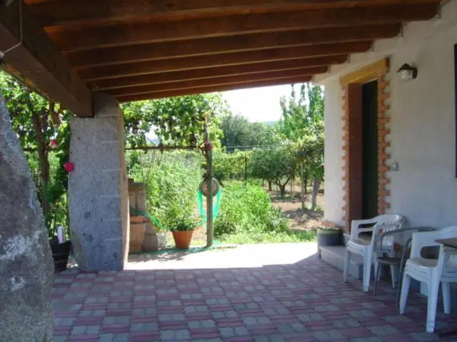 Domus Trebini