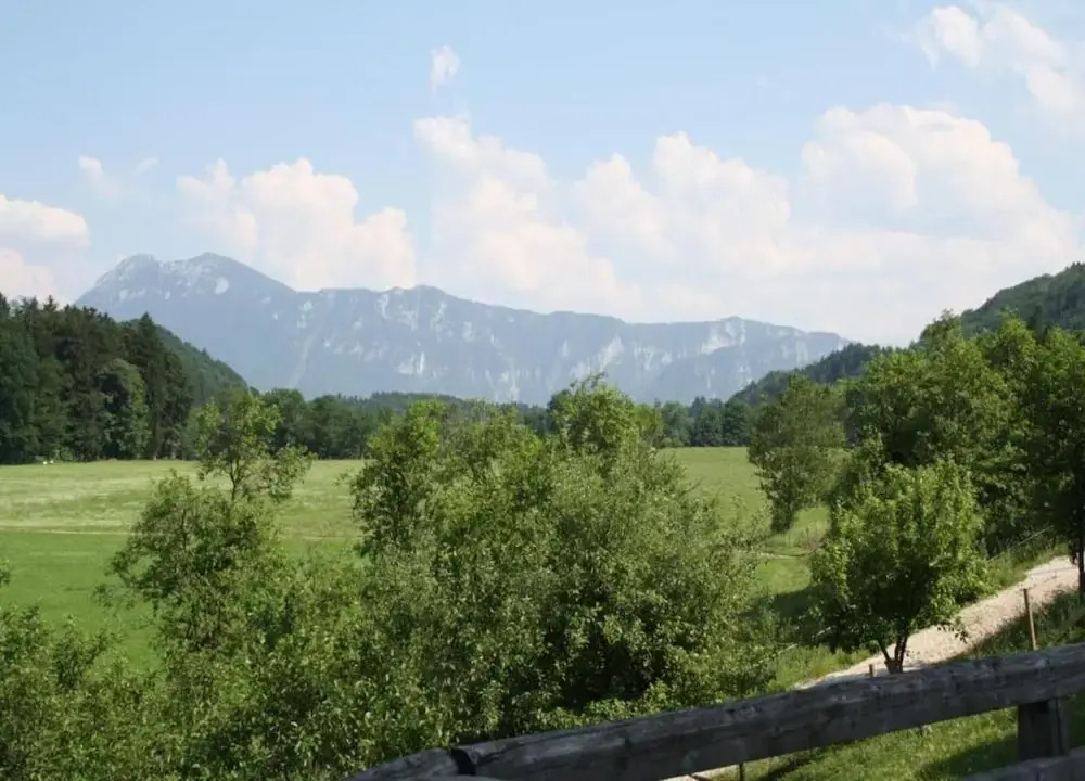 Holiday Apartment Siegsdorf in Bavaria